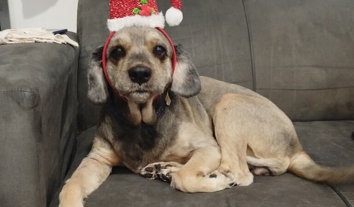 Lydia Maria Tratamento