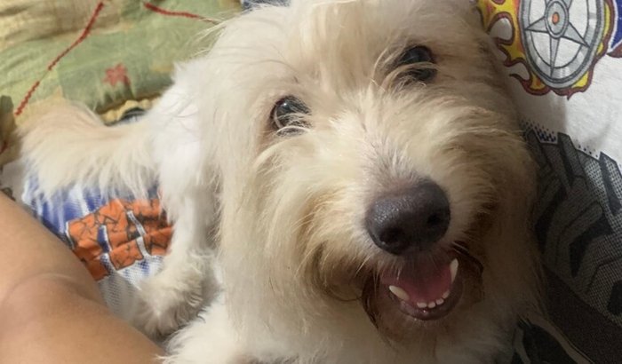 Ajude no tratamento da Estela