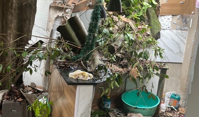 Livramento e Recomeço: Ajude minha família reconstruindo seu lar!