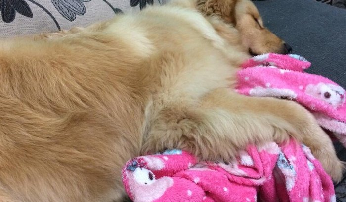 Ajuda pra cirurgia do Smith