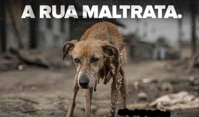 A Rua maltrata a sua indiferença mata