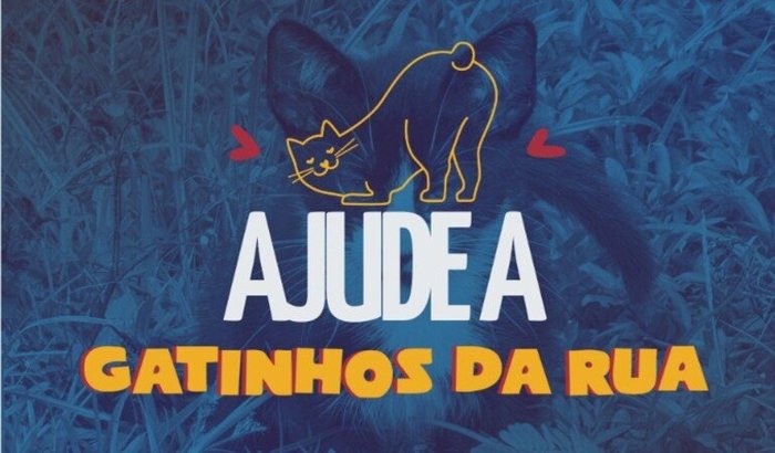 Ajude a Gatinhos da Rua a Continuar!