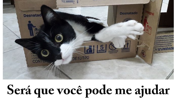Ajude o Dom Miguel