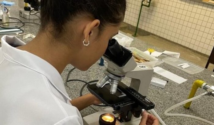 Operação Mudança: Vamos ajudar Sofia aterrissar na Facul...