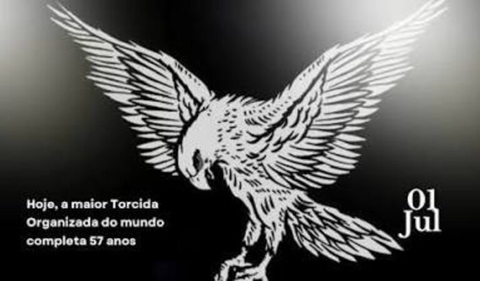 Projeto Gaviões da Fiel (renovação) 1