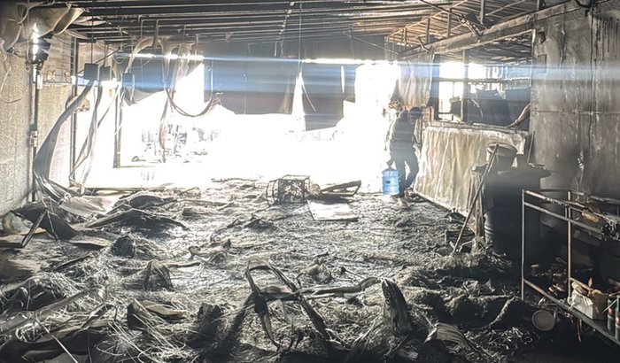 Ajuda solidaria Barbudus