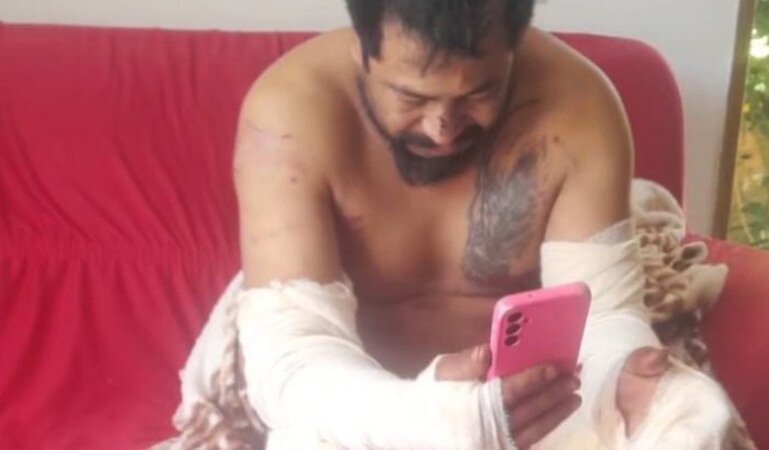 Tragédia com Cães Abandonados