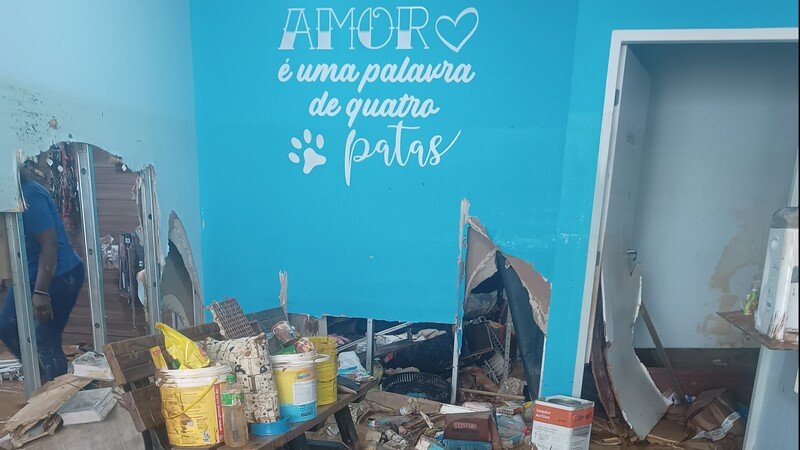 Ajude a Bicho Querido a recomeçar 