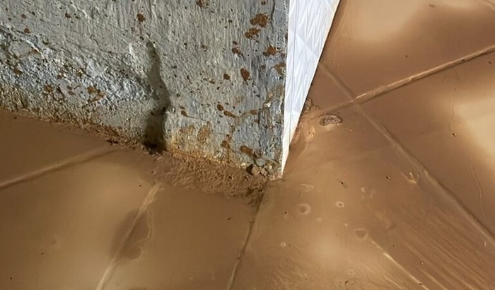 Ajude Cleide a reconstruir sua casa após as chuvas em Moreno (PE)