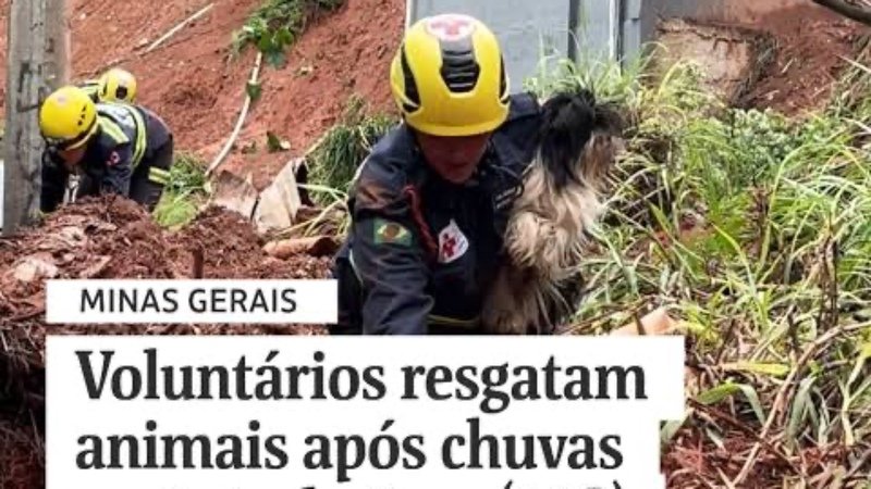 SOS MINAS GERAIS - DEIVID WISLEY