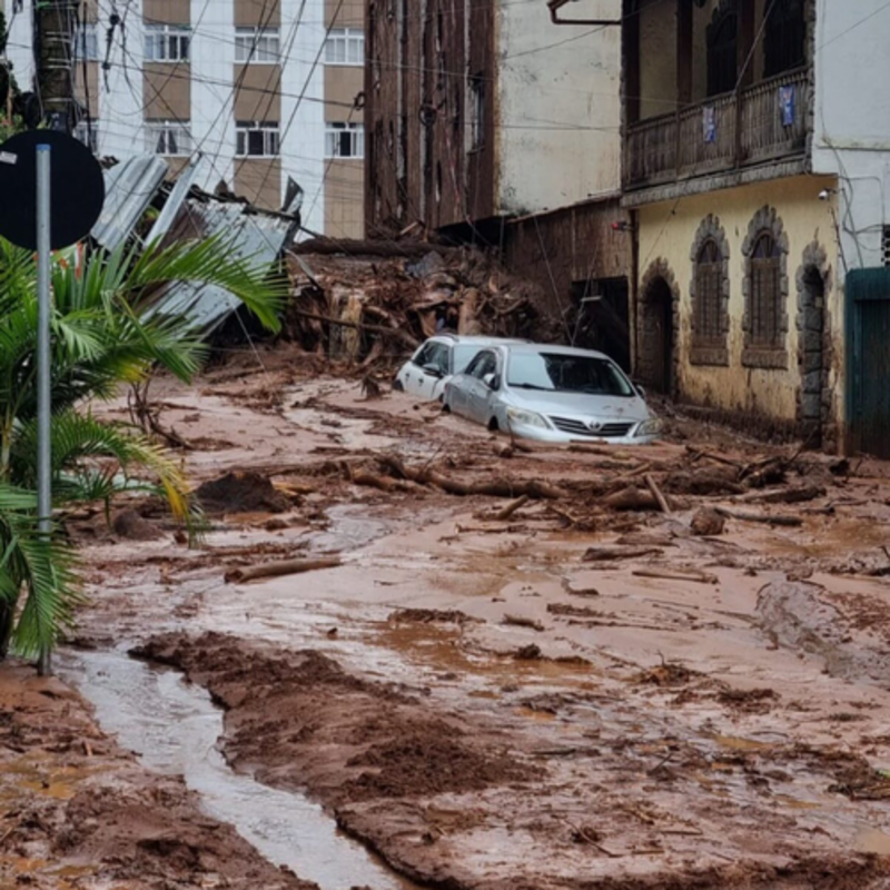 HubDog e ArboDog ajudam JF e Matias