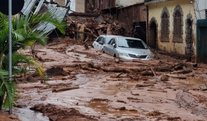 HubDog e ArboDog ajudam JF e Matias