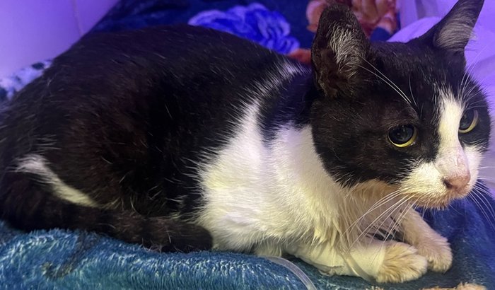 Ajuda para Benedita Maria