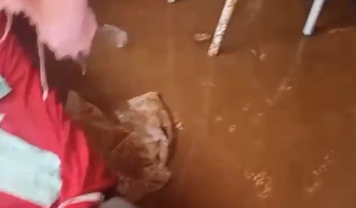 Ajude a Selma a recomeçar