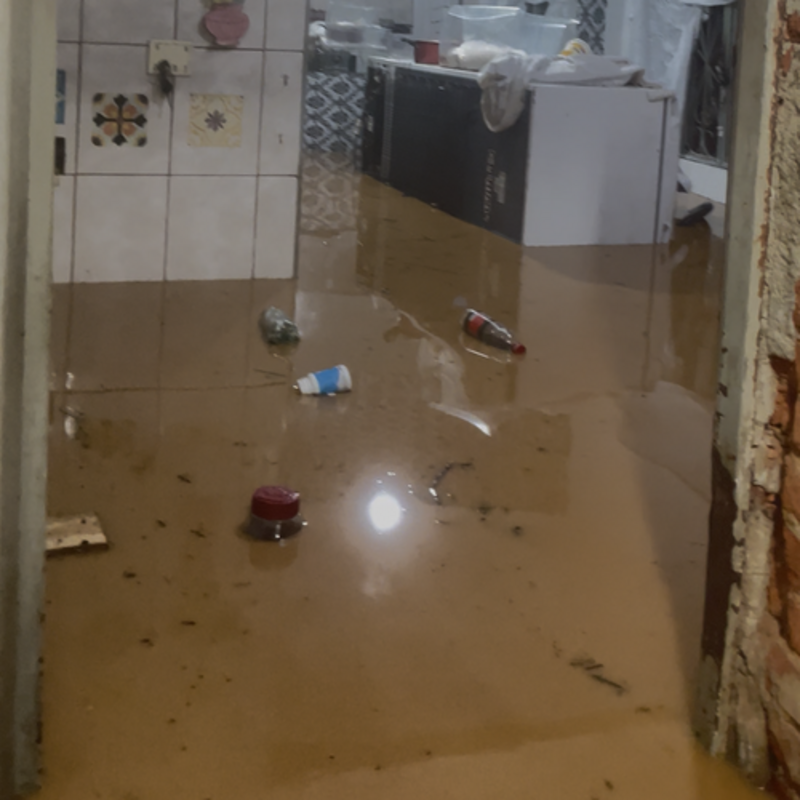 Enchente levou tudo: ajude 3 amigos a recomeçar em Ubá, MG