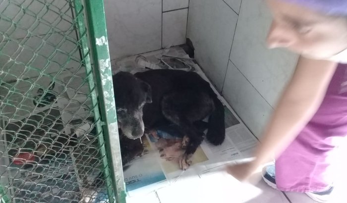 Nós ajudem a salvar o negão