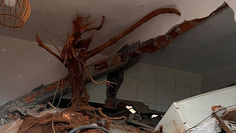 Ajude duas famílias a recomeçar após a tragédia de Juiz de Fora 