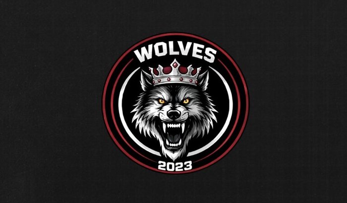 WOLVES FUT7 DO AMADOR AO PROFISSIONAL