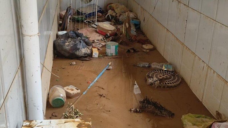 Ajude uma família a reconstruir sua casa