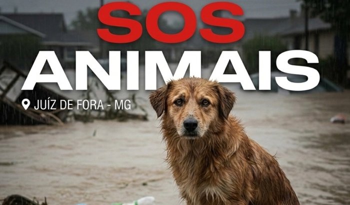 Socorrendo animais - Juiz de Fora MG