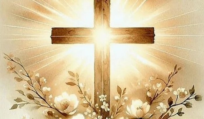 Abraço coletivo para a Luciana