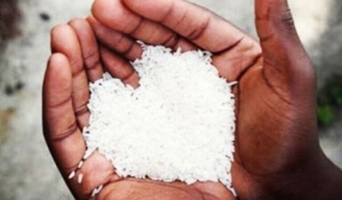 Obrigação de Bori da Fatima Isabel 2026