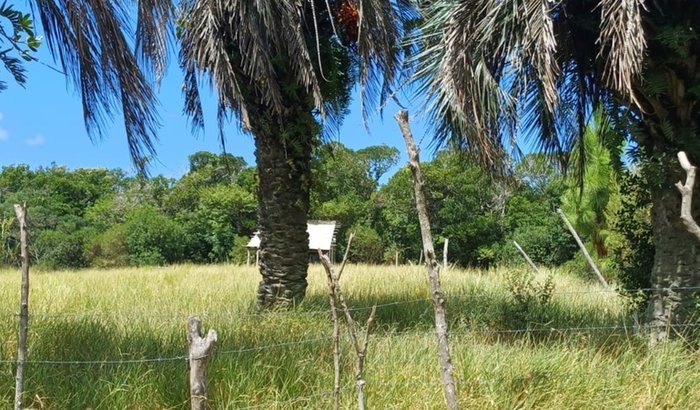 Ajuda para compra do terreno do projeto