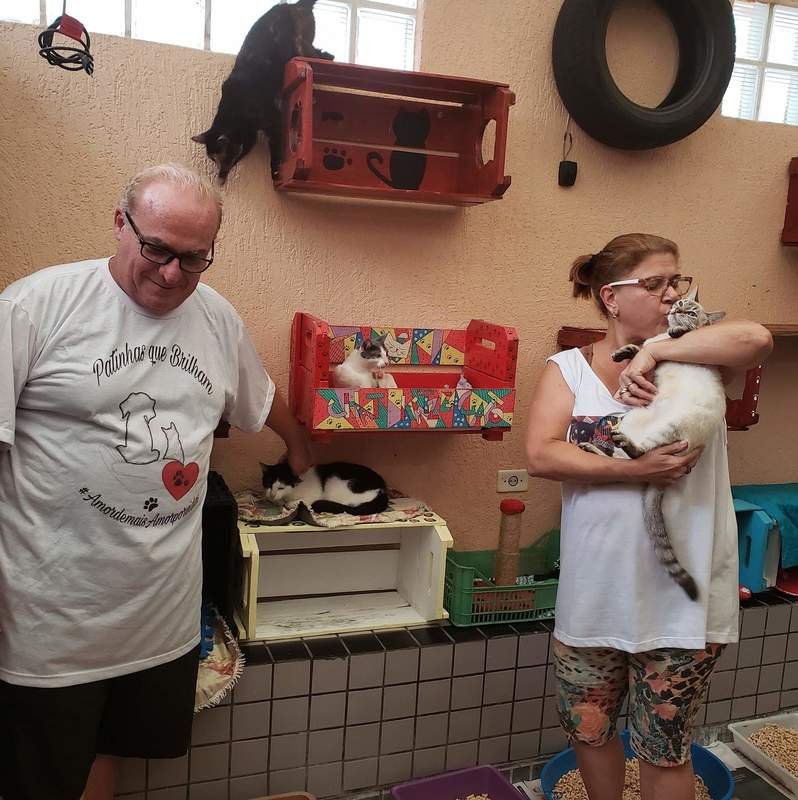 REFORMA E AMPLIAÇÃO DO GATIL ONG PATINHAS QUE BRILHAM