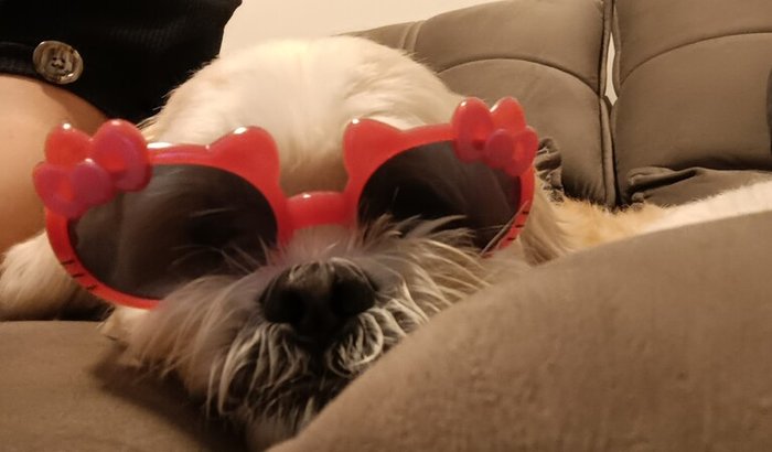 Ajude o Theo a voltar a andar