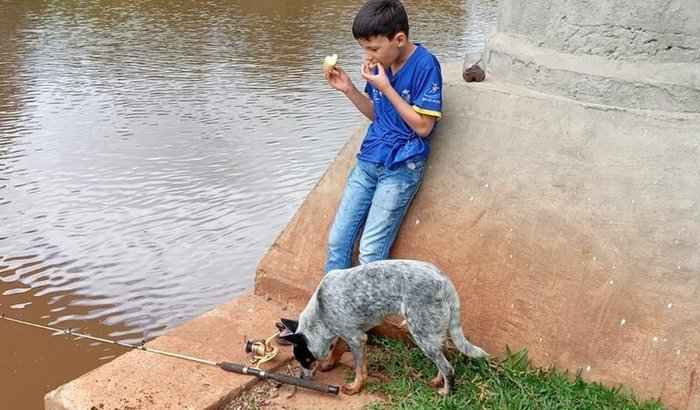 Ajudar a cachorra Luna