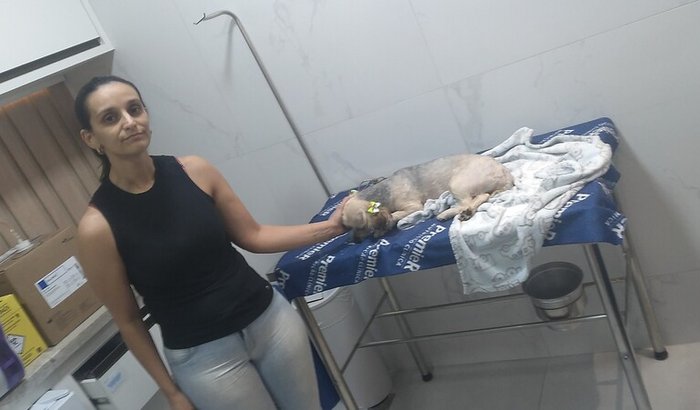 Ajuda para os exames da nossa cachorrinha Aly