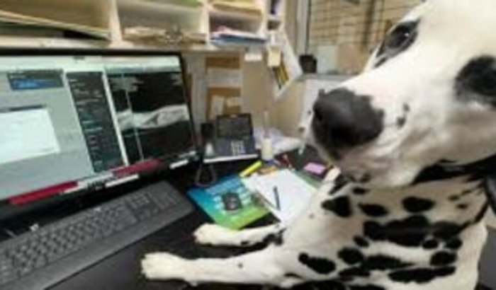 Novo Notebook para trabalho