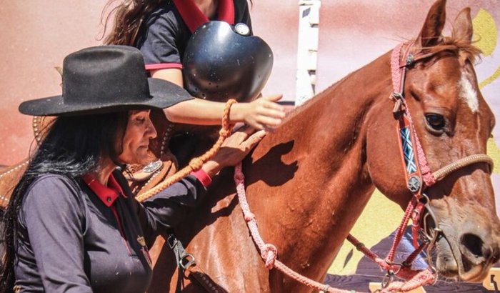 Internação do Cavalo Caça Níquel 🕊️🖤