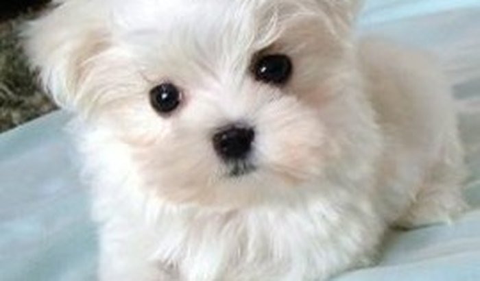 Presente para o meu filho