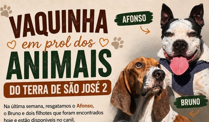 Ajuda emergencial cachorros terras 2