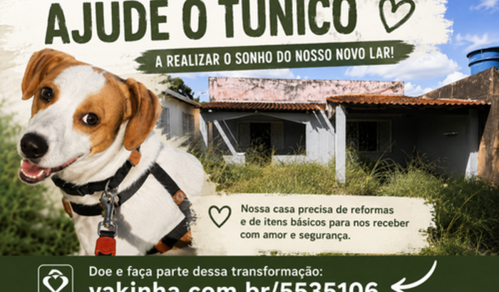 Reforma da casa do Tuniquinho