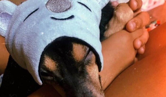 Ajuda pra recuperar o ingresso
