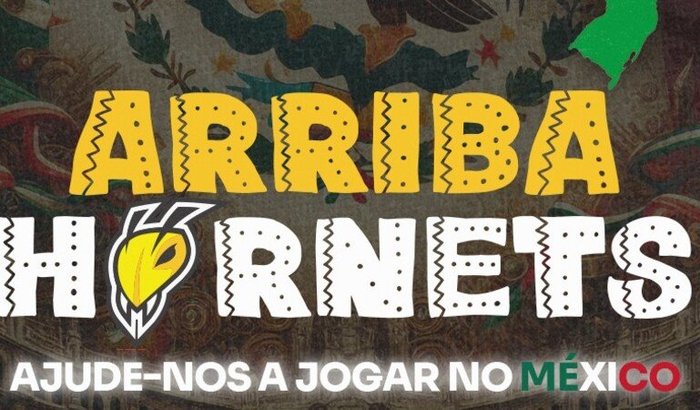 Arriba Hornets
