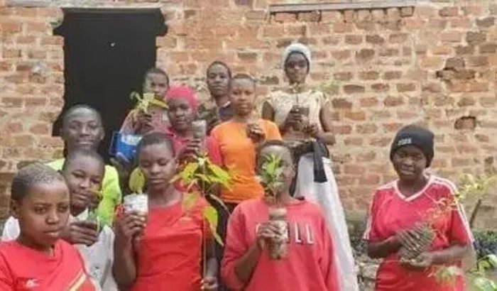 Missão Uganda: Ajude uma Iniciativa de Fazenda em Escolas a Plantar 800.000 Árvores!