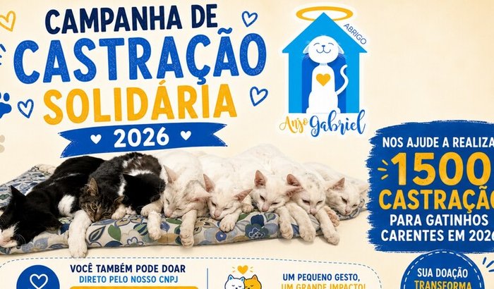 Campanha Castração Solidaria 2026 Abrigo Anjo Gabriel