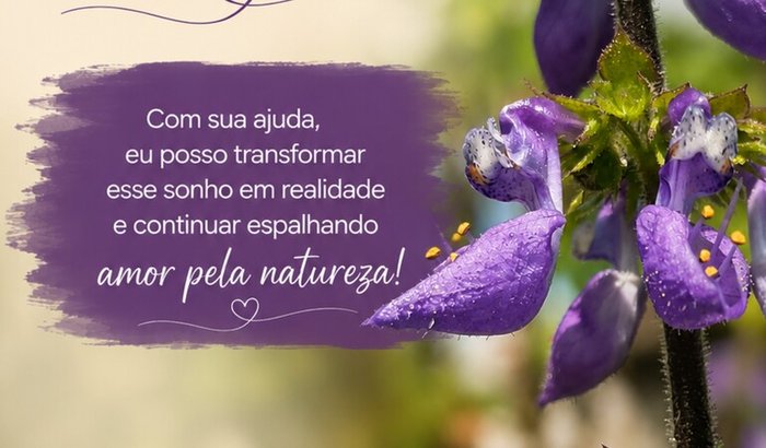 Ajude-me a Comprar Minha Câmera Profissional