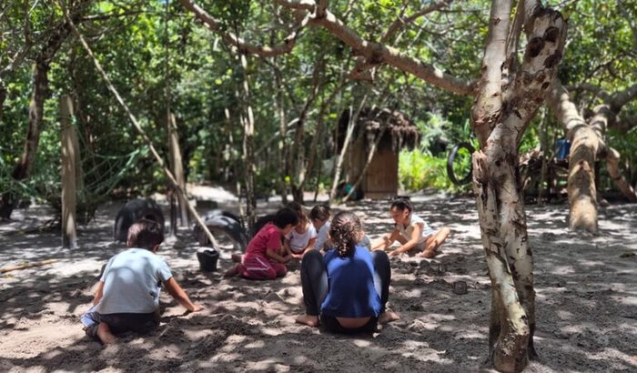 Juntos cultivando futuros: ajude a Escola Cajueiro do Mangue