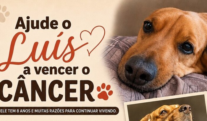 Cirurgia de tumor do cão Luís