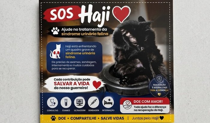 SOS Haji ❤️ Ajude no tratamento da síndrome urinária felina!