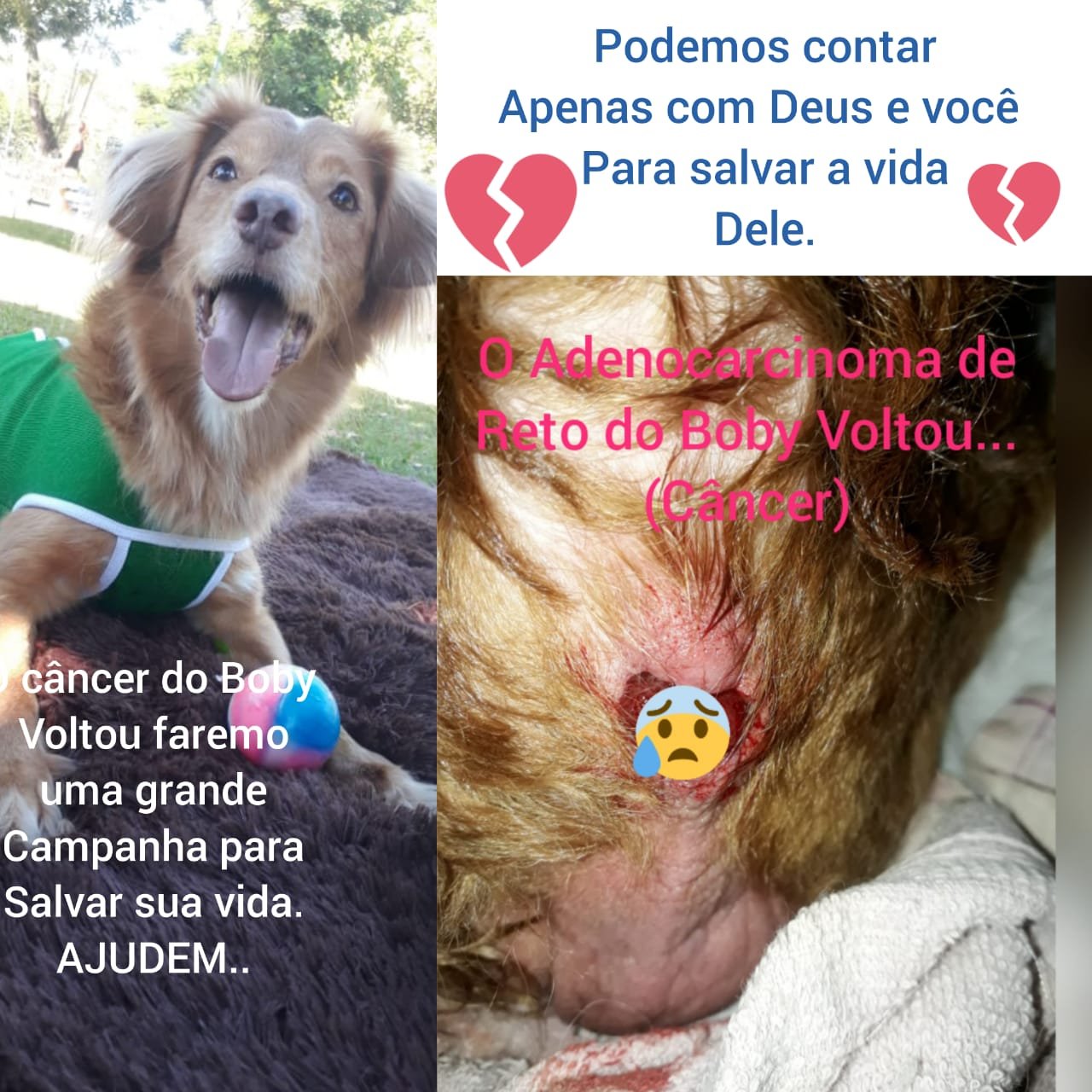 imagem da vaquinha Câncer!!! SOS BOBY!!!
