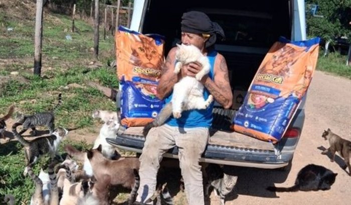 Ajude o Sr. Luiz e seus gatos a terem um teto digno.