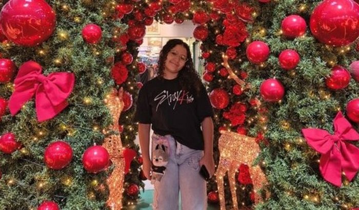 Ajuda para realizar meu sonho: conhecer o Stray Kids