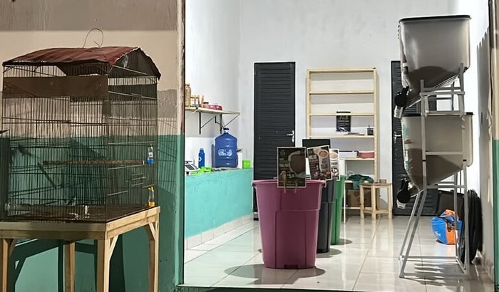 Ajude a KG Agropecuária a crescer 🐾💚