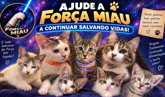 ♥️🐾Projeto Força Miau 🐾♥️