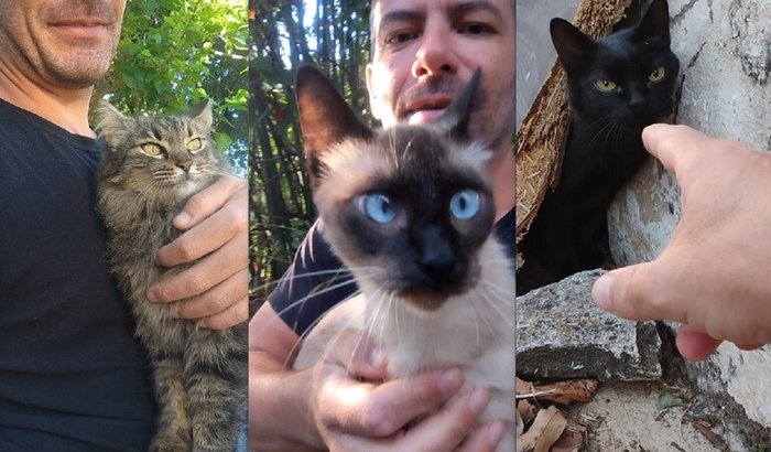 MEU AMIGO GATO